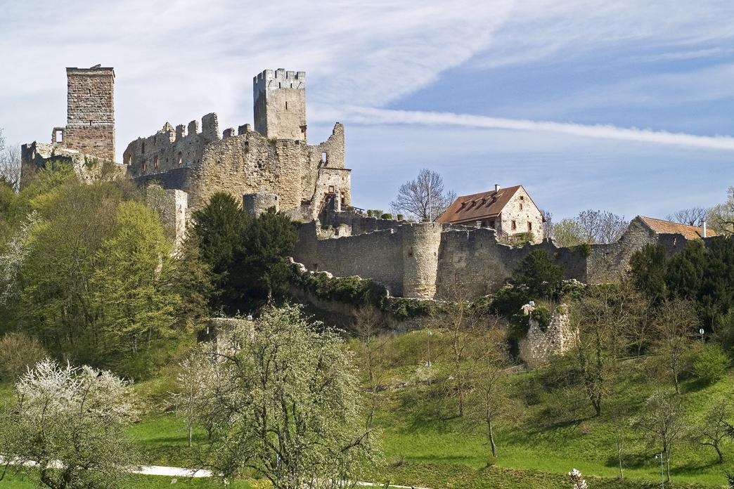 Burgruine Rötteln mit blühenden Obstbäumen im Vordergrund